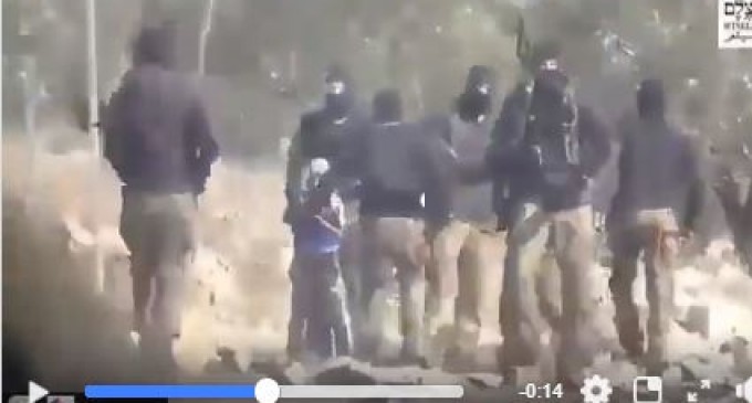 Un enfant palestinien utilisé comme bouclier humain par le groupe colon terroriste israélien pour attaquer des palestiniens