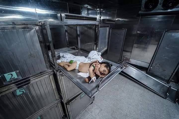 5 enfants palestiniens ont été tués par les frappes aériennes de l'armée d'occupation israélienne sur Gaza au cours des 2 derniers jours.1