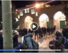 Regardez | Pour le 2ème jour de suite, les forces d’occupation israéliennes expulsent les fidèles musulmans de la mosquée d’Al Aqsa