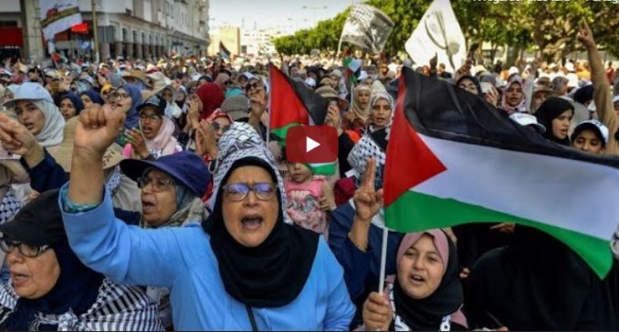 Levée de bouclier dans le monde arabe contre la conférence de Bahreïn ou deal du siècle