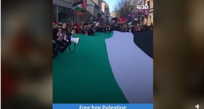 REGARDEZ | Du monde entier, les gens manifestent pour exprimer leur solidarité avec la cause palestinienne, et le rejet du « plan de paix » de Trump.