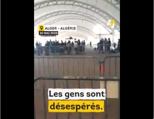 Mépris, abandon et racisme de la France envers ses ressortissants d'origine maghrébine coincés au Maroc, en Algérie et en Tunisie