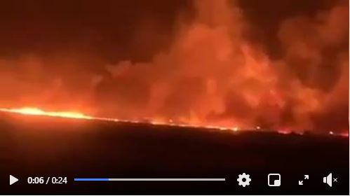 Les États-Unis utilisent le blé comme arme de guerre en Syrie