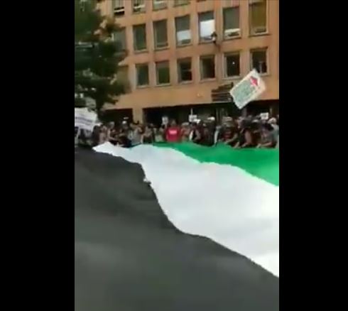 toulouse manif palestine