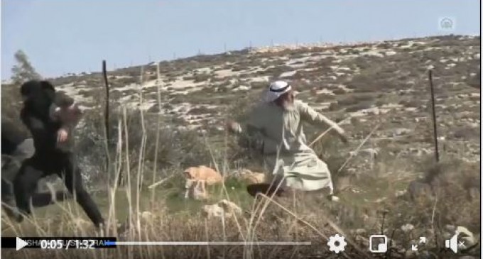 Regardez | Un vieil homme palestinien affronte les forces d’occupation israéliennes lors des affrontements dans le village de Deir Jarir en Cisjordanie occupée