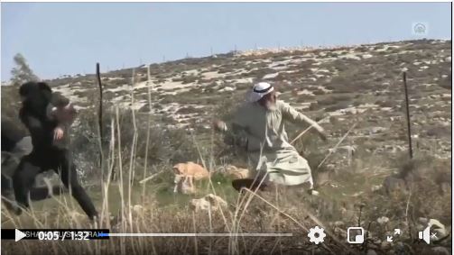 Un vieil homme palestinien affronte les forces d'occupation israéliennes lors des affrontements dans le village de Deir Jarir en Cisjordanie occupée