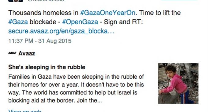 Les célébrités qui défendent la Palestine et celles qui sont contre.