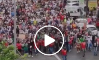 Un arbre qui tombe fait-il du bruit si personne n’est là pour l’entendre ?