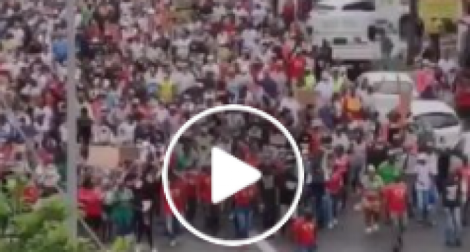 Un arbre qui tombe fait-il du bruit si personne n’est là pour l’entendre ?