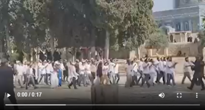Des colons israéliens exécutent des danses provocatrices à la mosquée Al-Aqsa.