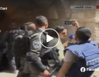 les forces d’occupation arrêtent violemment les fidèles palestiniens sur l’esplanade des mosquées pour permettre aux colons sionistes de venir souiller le lieu