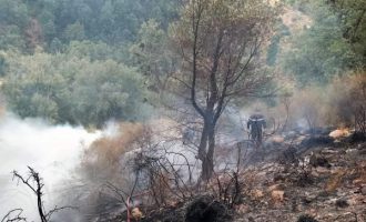 Palestine : le Hamas adresse ses condoléances à l’Algérie