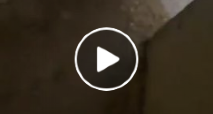 La situation dans la colonie de Sderot, où le dome de gruyère ahuri est en de se faire trouer de toute part