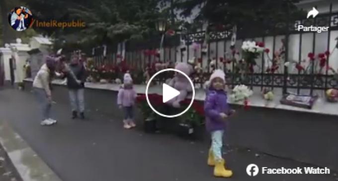 FLEURS POUR LA PALESTINE et jouets à la mémoire de près des 1000 enfants assassinés par Israël à Gaza